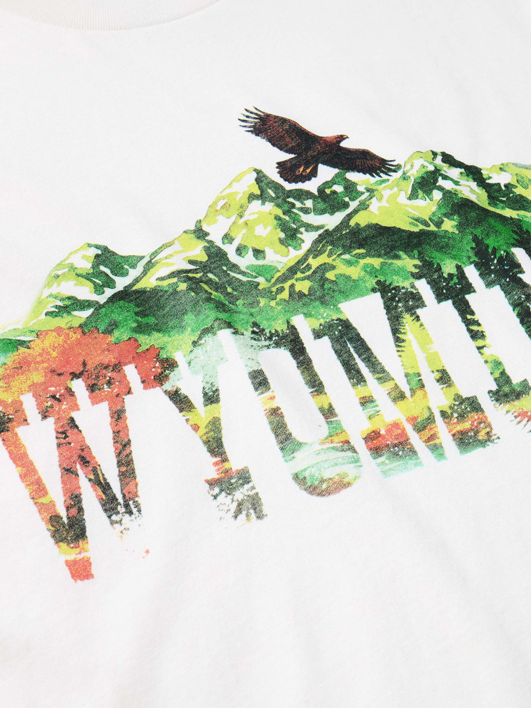 IAN MUNSICK x SCHAEFER OUTFITTER WYOMING TEE - Schaefer Outfitter